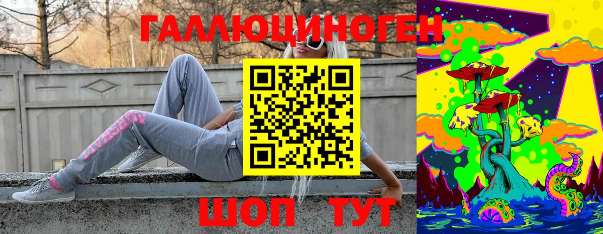 Галлюциногенные грибы Cubensis Майкоп