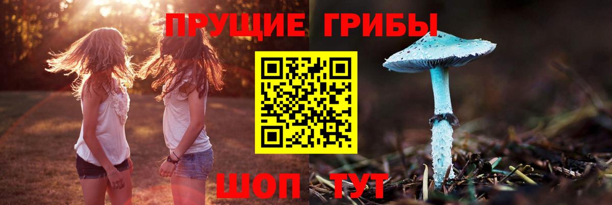 Псилоцибиновые грибы Psilocybine cubensis  Псилоцибиновые грибы мухоморы  Вход с VPN  Майкоп 