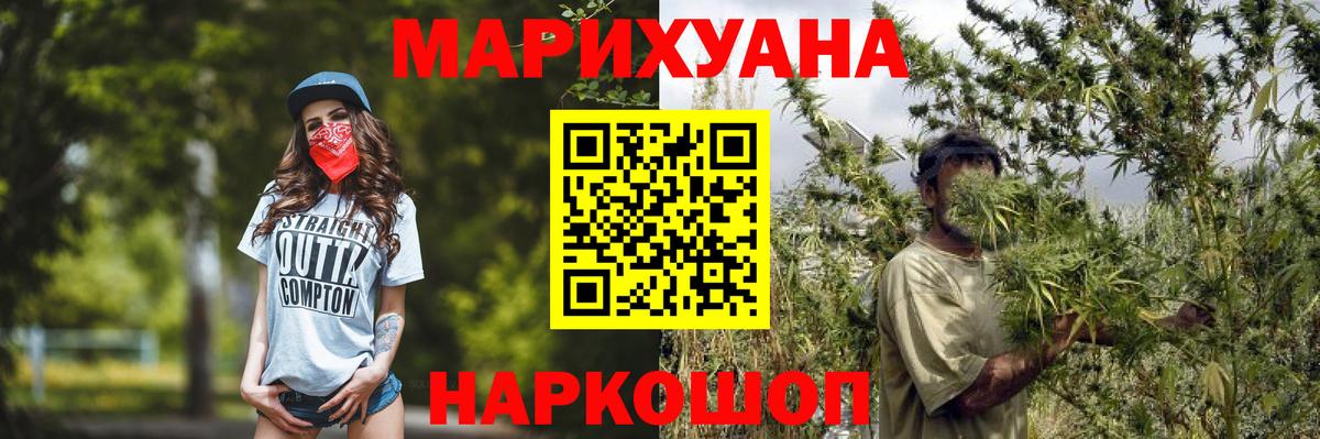 Бошки Шишки план  Конопля AK-47  Бошки Шишки планчик  Майкоп  Вход с VPN  МАРИХУАНА семена 